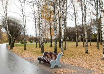 Keberkahan Pergi pada Pagi Hari untuk Mencari Nafkah