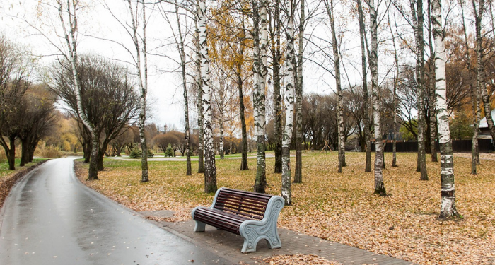 Keberkahan Pergi pada Pagi Hari untuk Mencari Nafkah