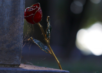 Kiat Menjalani Keseharian agar Sukses Dunia Akhirat