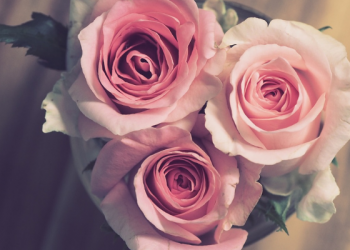 Kiat Menjalani Keseharian agar Sukses Dunia Akhirat