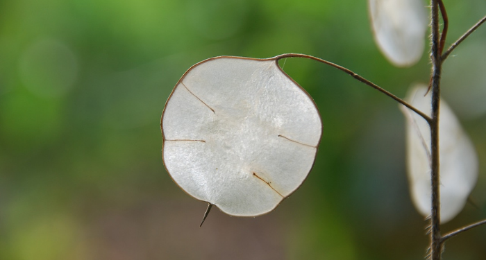 Keberkahan Pergi pada Pagi Hari untuk Mencari Nafkah