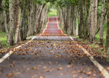 Ia Datang Bukan Untuk Bertanya