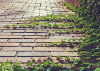 Kiat Menjalani Keseharian agar Sukses Dunia Akhirat