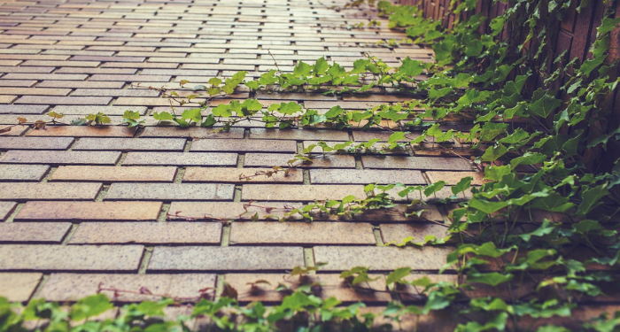 Kiat Menjalani Keseharian agar Sukses Dunia Akhirat