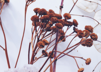 Doa Rasulullah Jika Tiba Waktu Malam Saat dalam Perjalanan