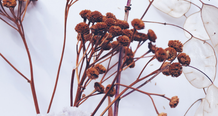 Doa Rasulullah Jika Tiba Waktu Malam Saat dalam Perjalanan