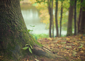Amr bin Jamuh Memeluk Islam Setelah Kehilangan Berhalanya