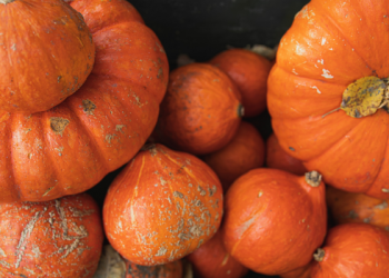 Doa Rasulullah Saat Keluar Rumah