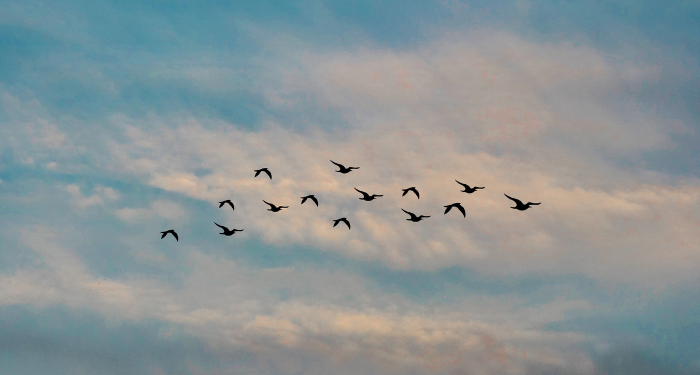 Perdebatan Seorang Murtad Di Hadapan Sultan Sulaiman Al-Qanuni