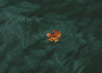 Khubaib bin ’Adi Lelaki Kaum Anshar Ahli Ibadah