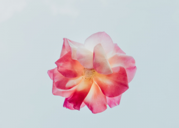 Buton, Destinasi Wisata Tanpa Batas