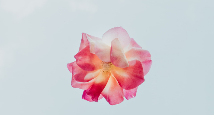 Buton, Destinasi Wisata Tanpa Batas