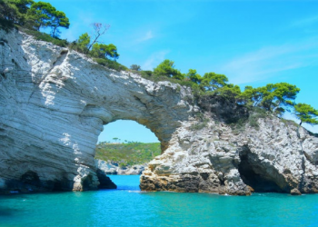 Tips Memilih Pemimpin Sesuai Quran dan Hadits