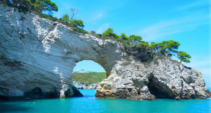 Tips Memilih Pemimpin Sesuai Quran dan Hadits