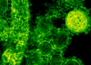 Menjadi Seperti yang Ku Mau