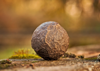 Umar bin Khattab Menghukum Putranya