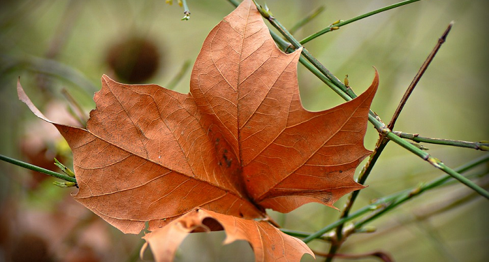 Wajib Diketahui Para Istri, Inilah Alasan Hawa Diciptakan untuk Adam
