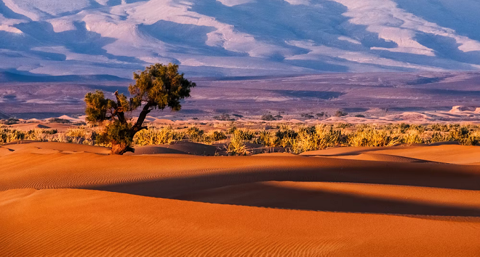 Umair bin Wahb, Setan Quraisy yang Menjadi Pejuang Islam