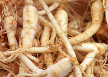 Menjadi Seperti yang Ku Mau