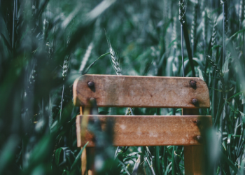 Barang Bekas ini Bisa Jadi Perabotan Rumah
