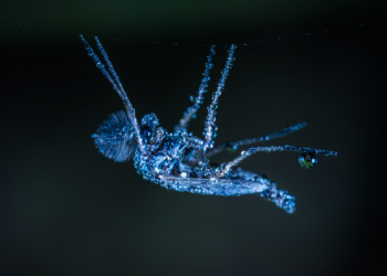 Tidak Memberatkan Beban Suami dengan Tuntutan di Luar Kemampuan