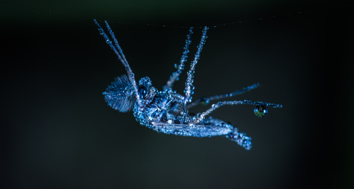 Tidak Memberatkan Beban Suami dengan Tuntutan di Luar Kemampuan