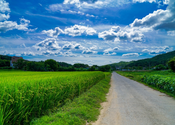 Qais bin Sa’ad bin Ubadah, Jika Tak Ada Islam Tipu Muslihatnya Tidak Dapat Ditandingi