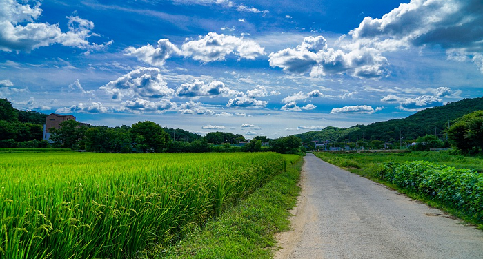 Qais bin Sa’ad bin Ubadah, Jika Tak Ada Islam Tipu Muslihatnya Tidak Dapat Ditandingi