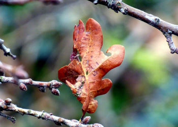 Inilah Empat Tanda Kiamat yang Telah Terjadi