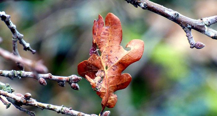 Inilah Empat Tanda Kiamat yang Telah Terjadi