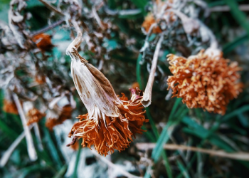 Rasulullah Berdoa Jika Merasa Sakit