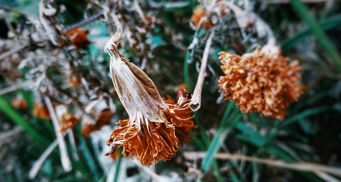 Rasulullah Berdoa Jika Merasa Sakit