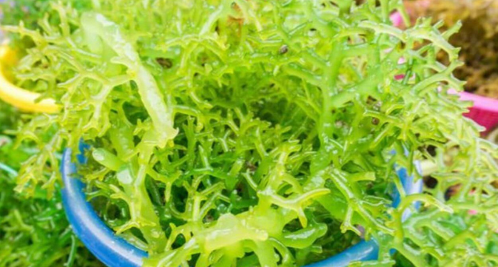 Barang Bekas ini Bisa Jadi Perabotan Rumah