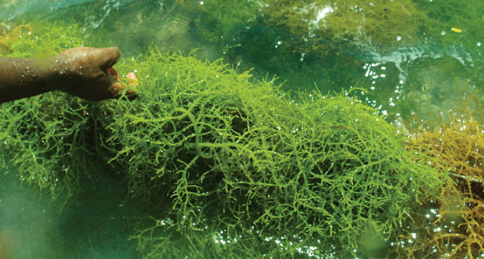 Barang Bekas ini Bisa Jadi Perabotan Rumah