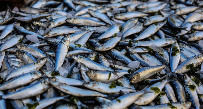 Menu Sehat, Pepes Ikan Tongkol dan Tahu