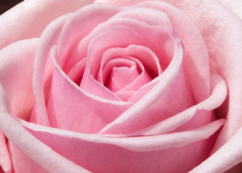 4 Kebiasaan Buruk yang Bikin Wajah Keriput