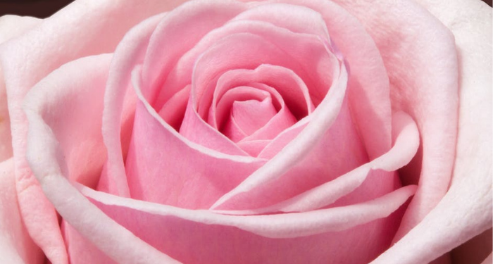 4 Kebiasaan Buruk yang Bikin Wajah Keriput