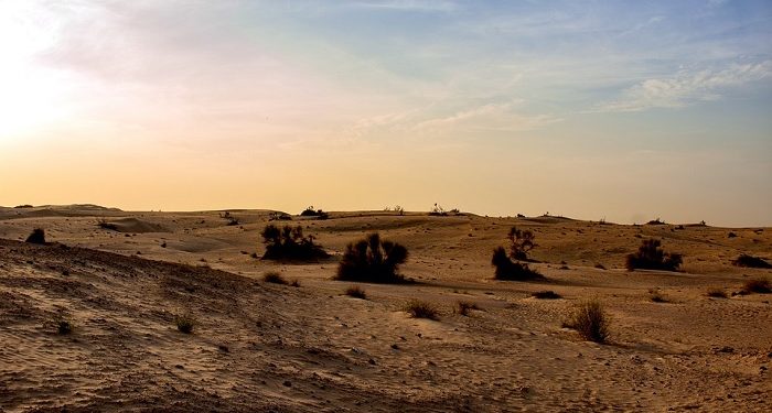 Percakapan antara Khalifah Sulaiman dan Syaikh Abu Hazim Tentang Menjemput Kematian