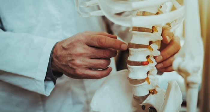 Manusia Dibangkitkan dari Tulang Ekor yang Tidak dapat Dihancurkan