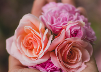 Berakhlak Sebelum Berilmu