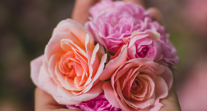 Berakhlak Sebelum Berilmu