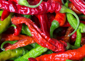 Rasulullah Turut Mengerjakan Pekerjaan Rumah