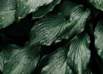 Pinisi Edutainment Park, Tempat Bermain dan Belajar di Pusat Perbelanjaan Ibukota