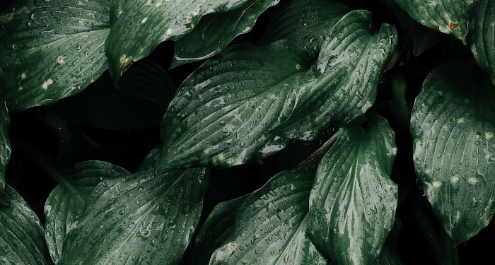 Pinisi Edutainment Park, Tempat Bermain dan Belajar di Pusat Perbelanjaan Ibukota