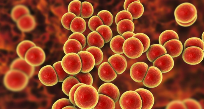 Penyakit Kelamin Gonore dapat Menjadi Penyakit Tak Terobati