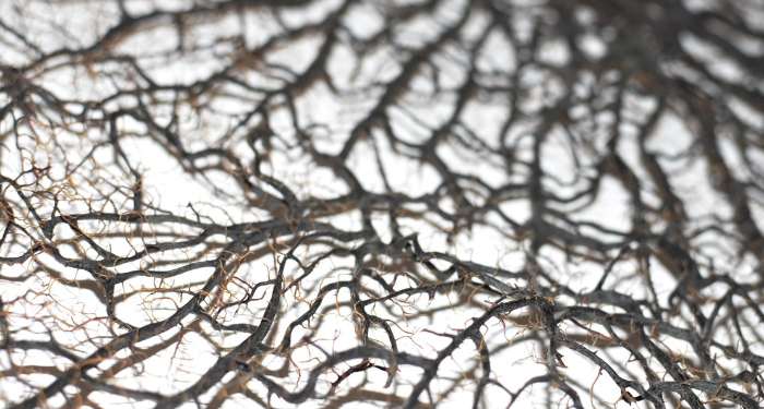 Masa Kecil Zaid bin Haritsah