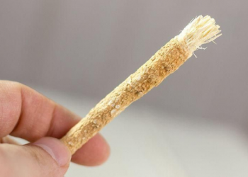 30 Persen Anak Indonesia Bertubuh Pendek karena Mie Instan?