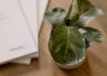 Pinisi Edutainment Park, Tempat Bermain dan Belajar di Pusat Perbelanjaan Ibukota