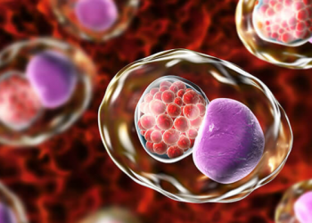 Pinisi Edutainment Park, Tempat Bermain dan Belajar di Pusat Perbelanjaan Ibukota