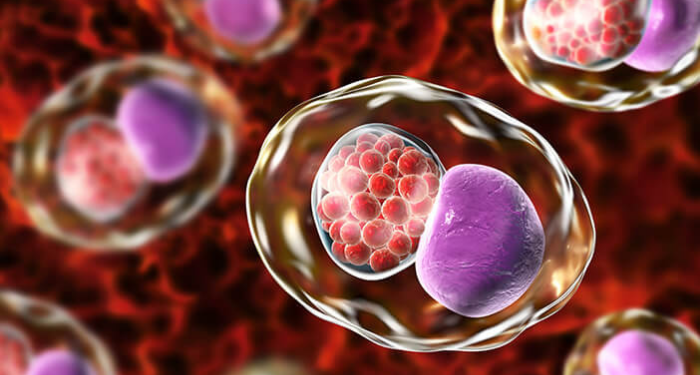 Pinisi Edutainment Park, Tempat Bermain dan Belajar di Pusat Perbelanjaan Ibukota